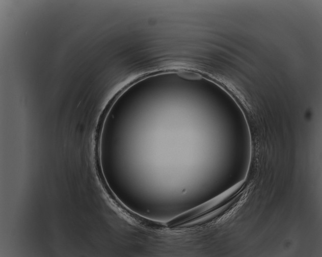 X0000097961134200804011652