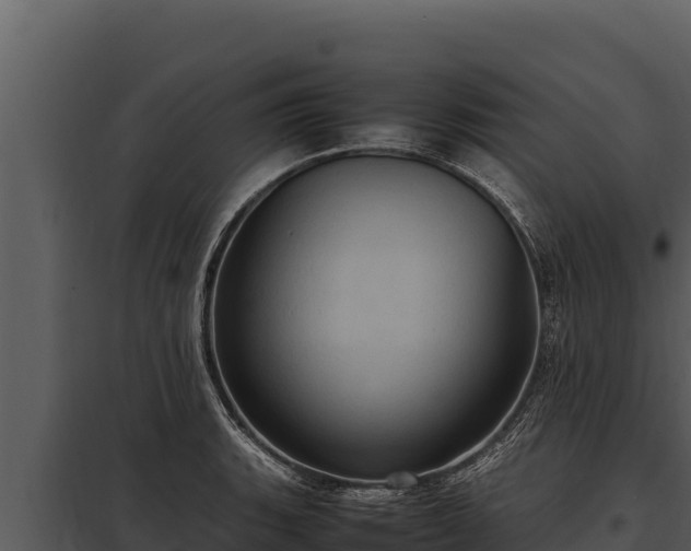 X0000097961135200804011652