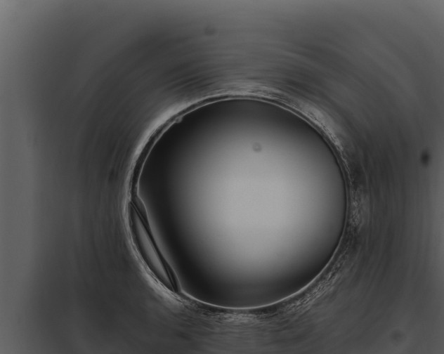 X0000097961136200804011652