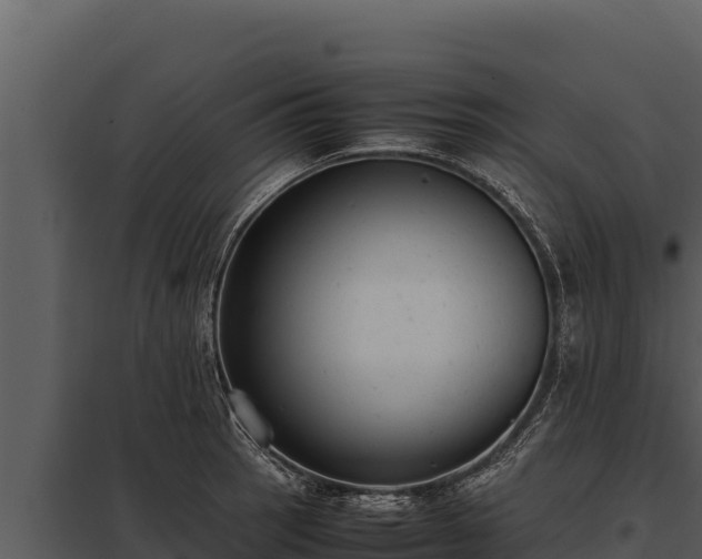 X0000097961137200804011652