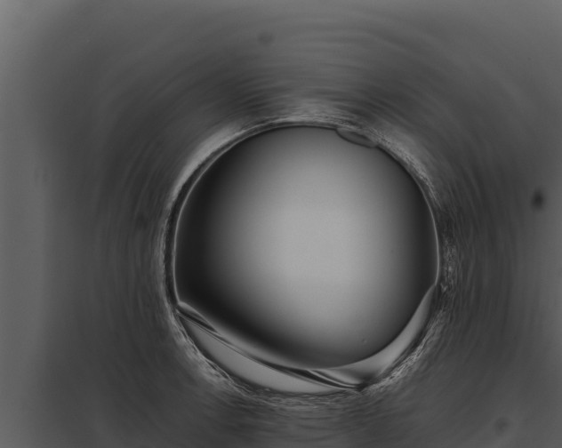 X0000097961138200804011652