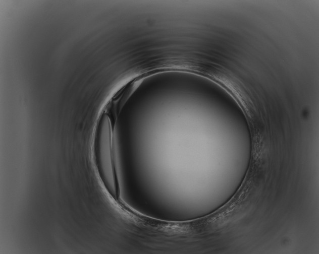 X0000097961139200804011652