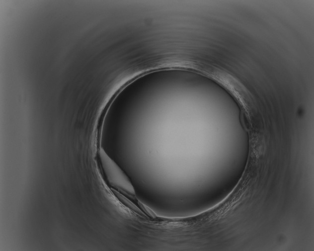 X0000097961140200804011652