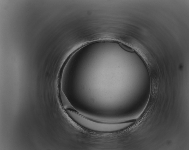 X0000097961142200804011652