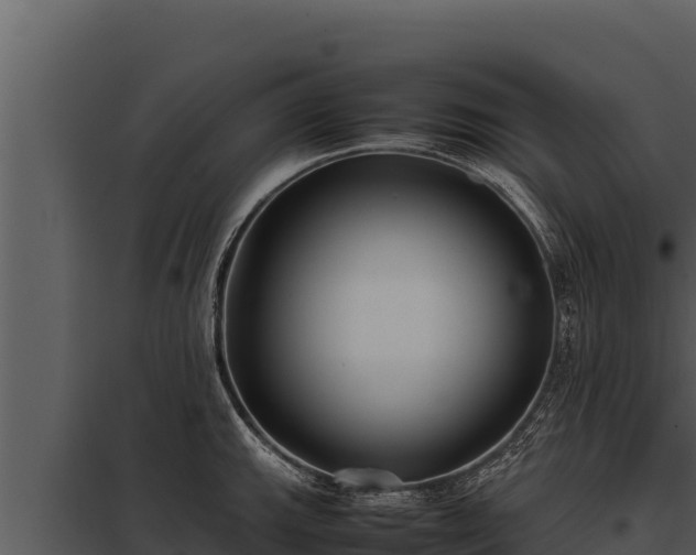 X0000097961143200804011652