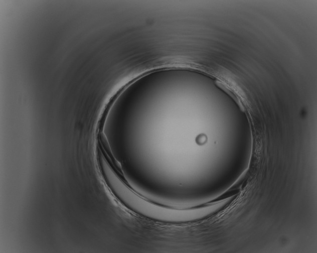 X0000097961144200804011652