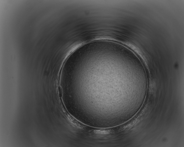 X0000097961145200804011652