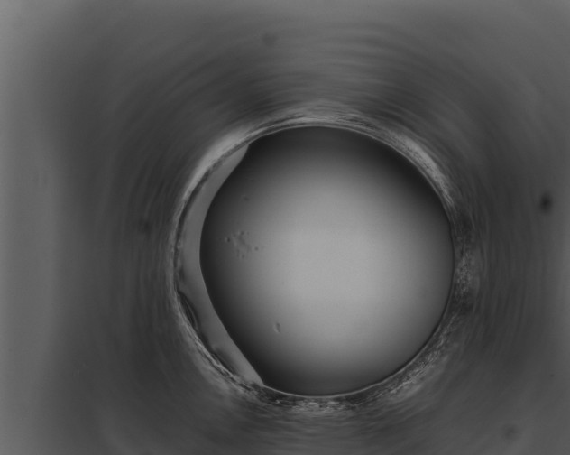 X0000097961146200804011652