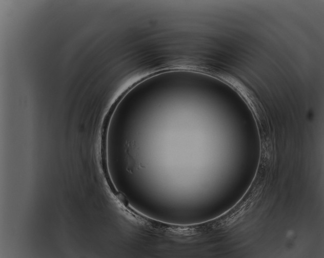 X0000097961147200804011652