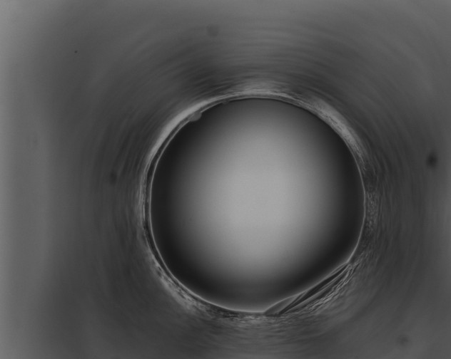 X0000097961148200804011652