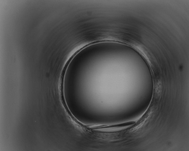 X0000097961149200804011652