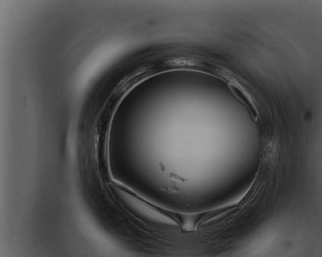 X0000097961151200804011652