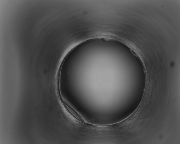 X0000097961152200804011652