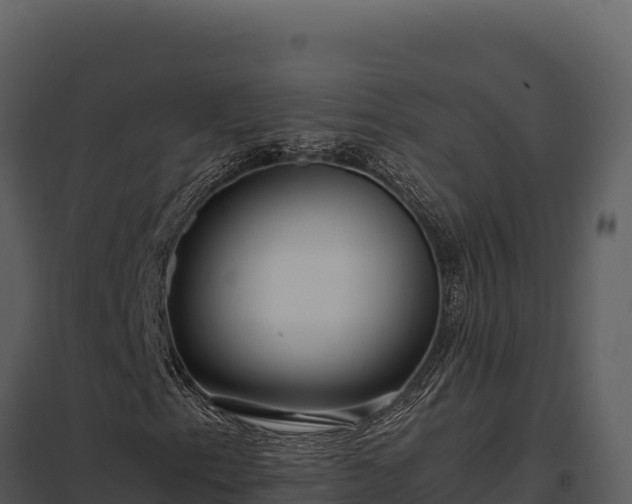 X0000097961153200804011651