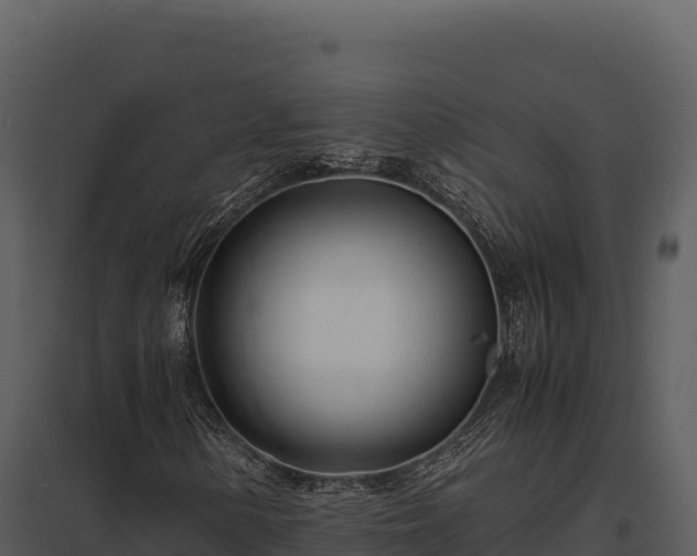 X0000097961154200804011651