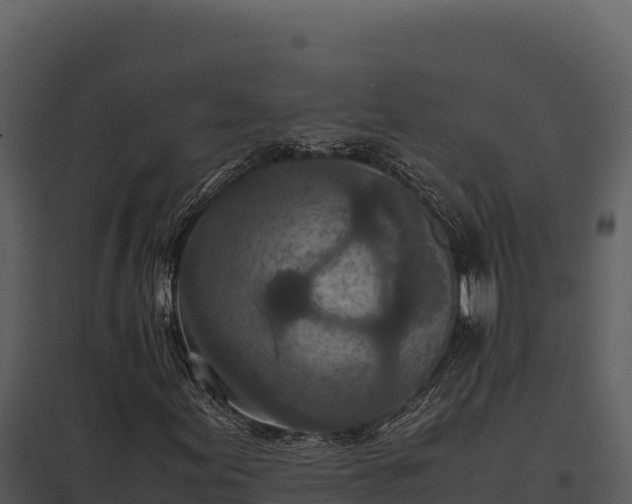 X0000097961155200804011651