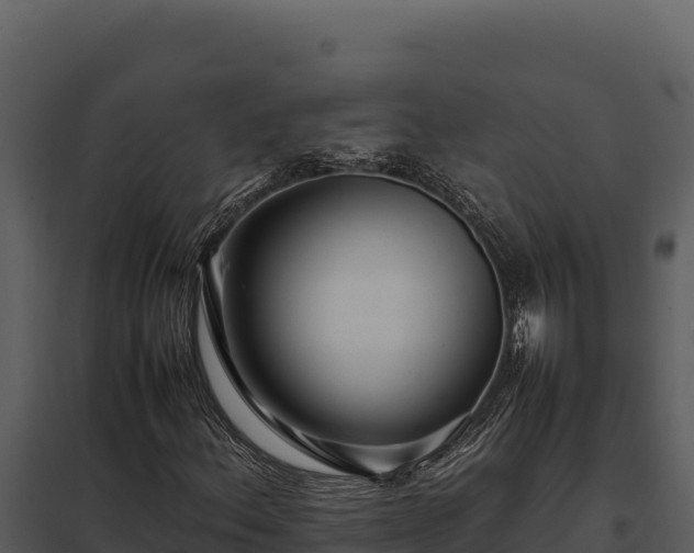 X0000097961156200804011651