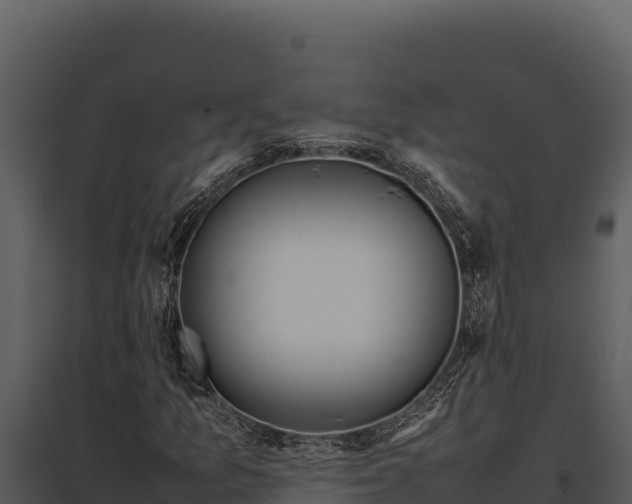 X0000097961157200804011651