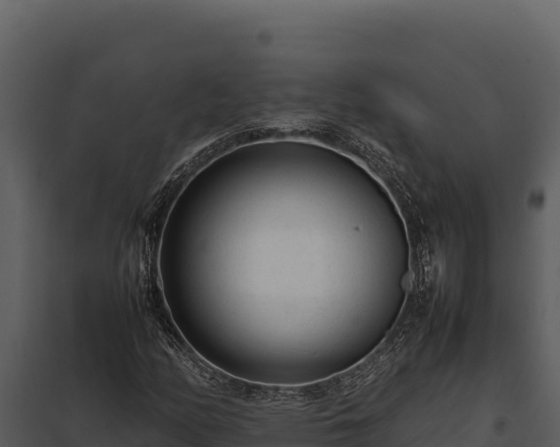 X0000097961158200804011651