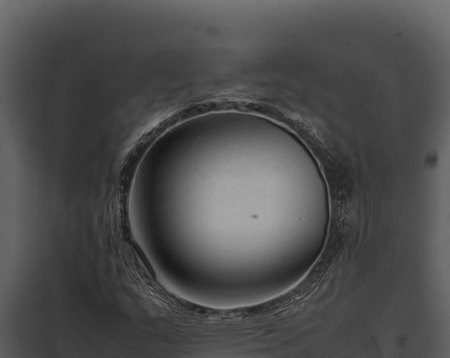 X0000097961159200804011651