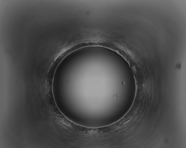 X0000097961160200804011651