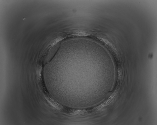 X0000097961161200804011651
