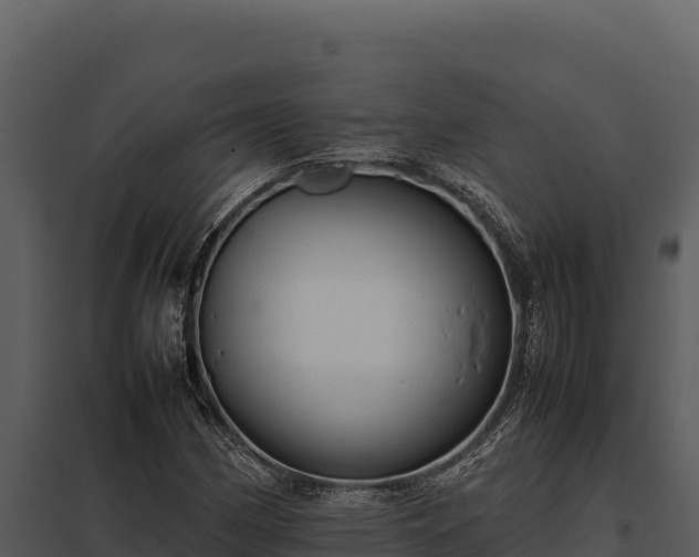 X0000097961162200804011651