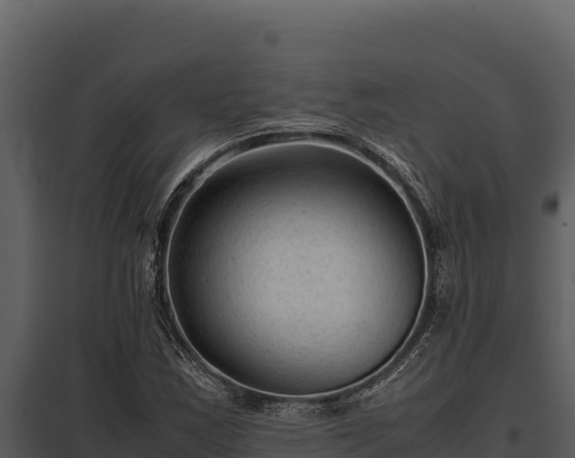 X0000097961163200804011651