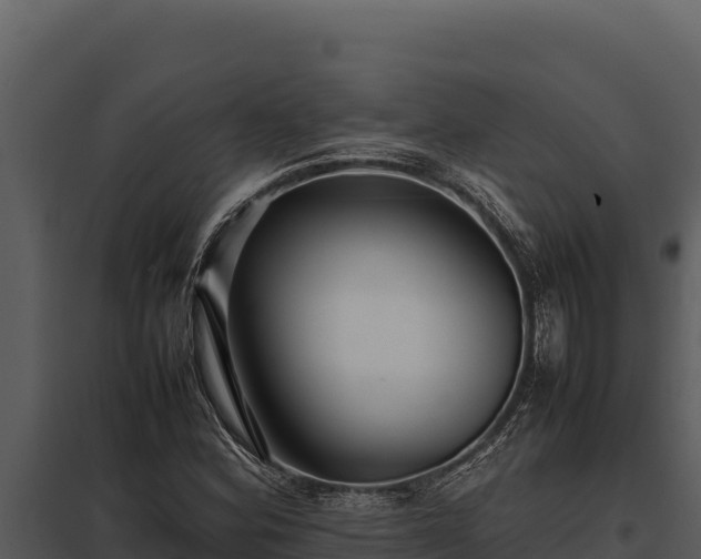 X0000097961164200804011651