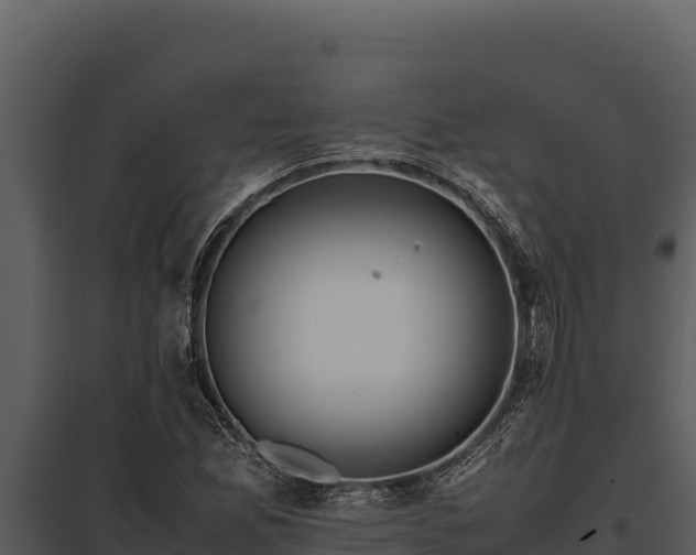 X0000097961165200804011651