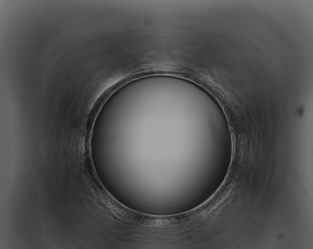 X0000097961166200804011651