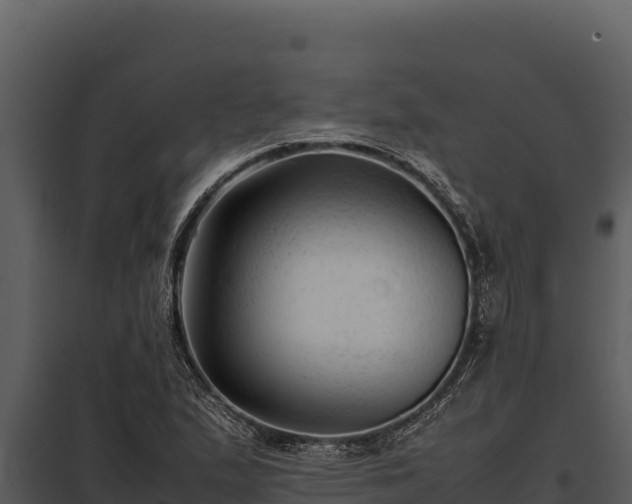 X0000097961167200804011651