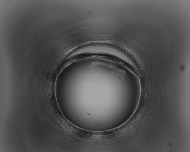 X0000097961169200804011651