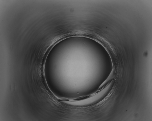 X0000097961170200804011651