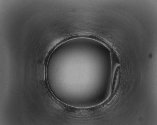 X0000097961171200804011651