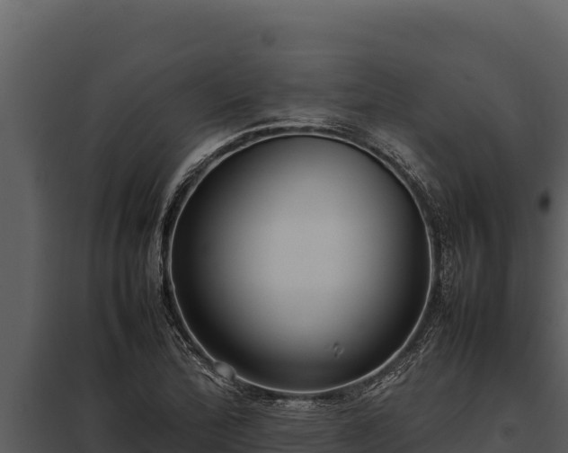 X0000097961172200804011651