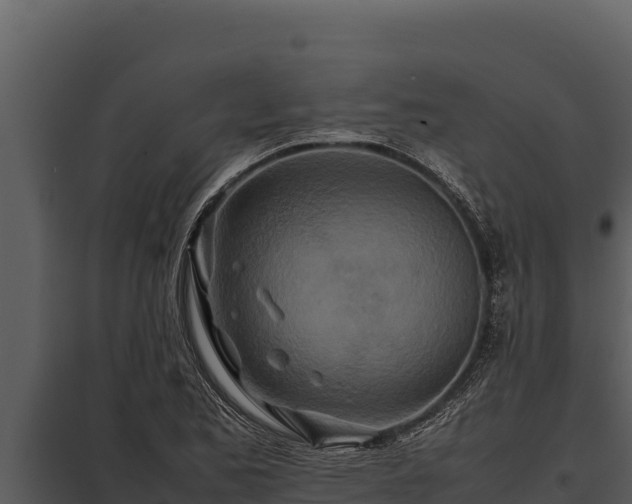 X0000097961173200804011651