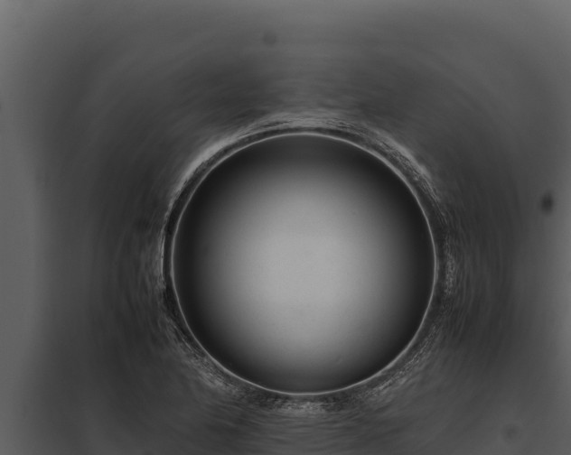 X0000097961174200804011651