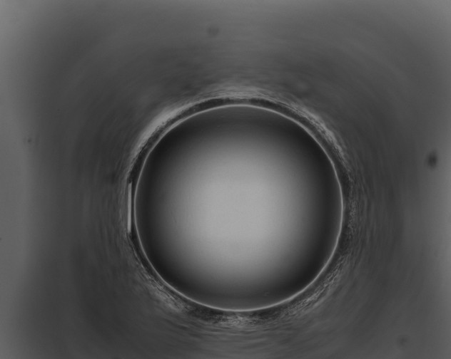 X0000097961175200804011651