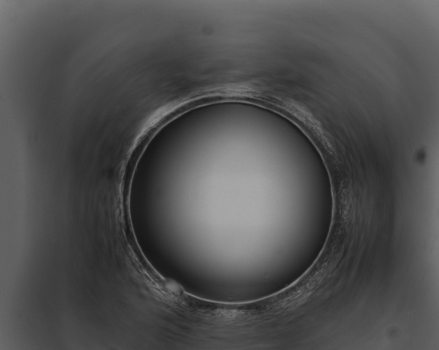 X0000097961176200804011651