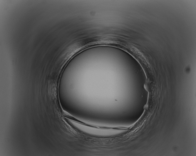 X0000097961177200804011651