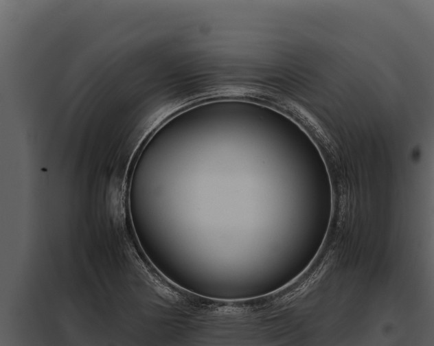 X0000097961178200804011651