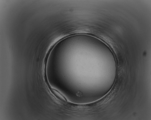 X0000097961179200804011651
