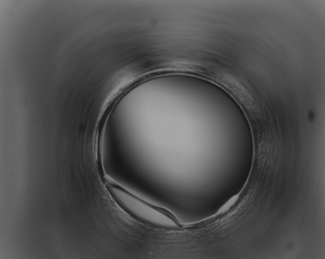 X0000097961180200804011651