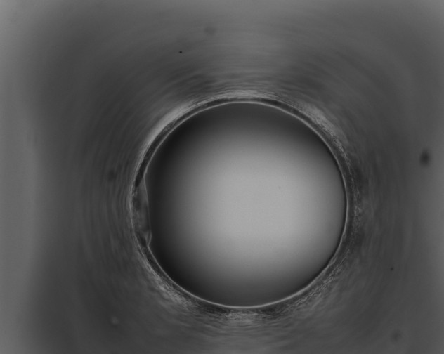 X0000097961181200804011651