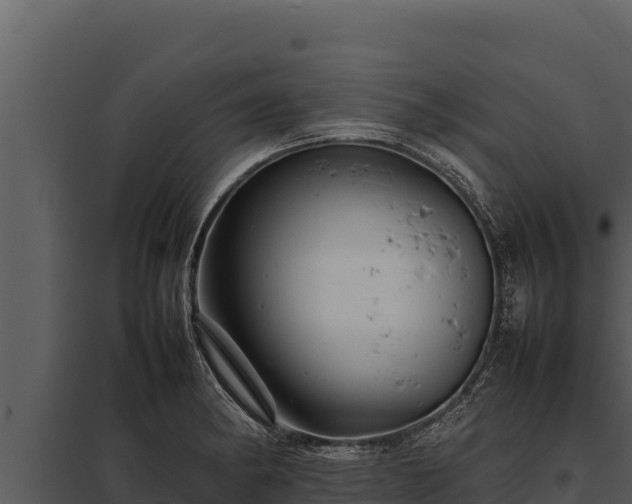 X0000097961182200804011651