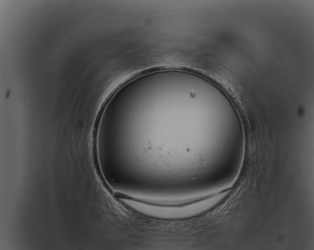 X0000097961183200804011651