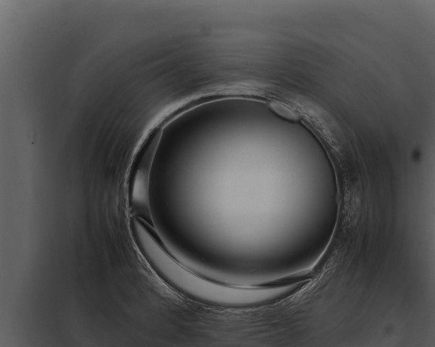 X0000097961184200804011651