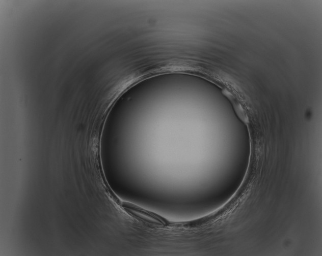 X0000097961185200804011651