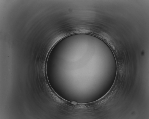 X0000097961186200804011651